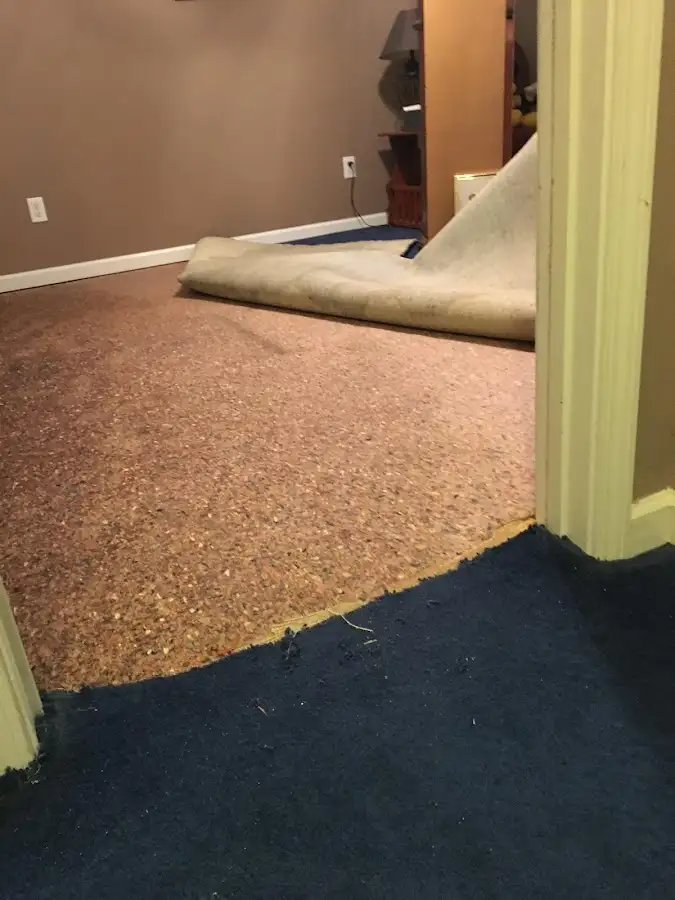 Carpet pad removal revealing water damage during Drying & Dehumidification in New Britain